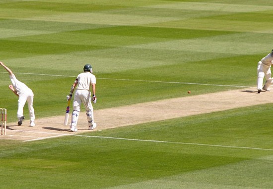 Cricket
