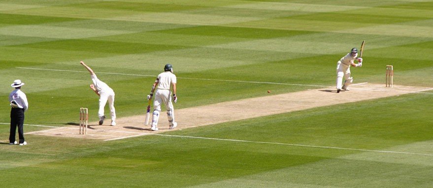 Cricket